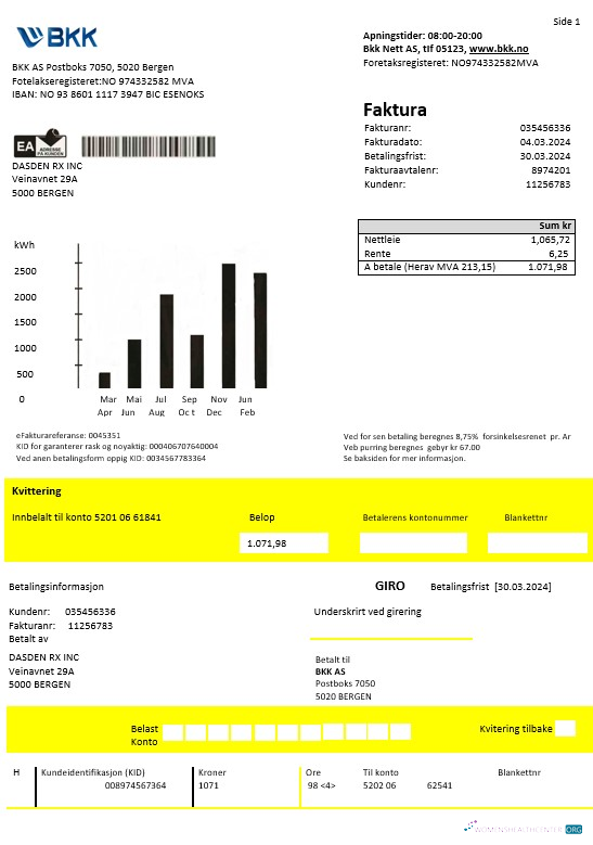 Norway BKK electricity business utility bill template in Word and PDF formats, good for address prove